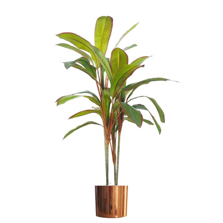 Tropical Dracaena Palma Plant Grande Plantadora Cobre 100cm por atacado de Leaf Design UK LTD