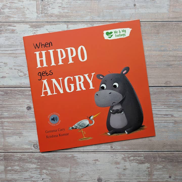 Robert Frederick Ltd - Wholesale Preschool Book (3-5) - Me and My Feelings Storybook Collection – Four Picture Books To Help Children Understand Emotions8