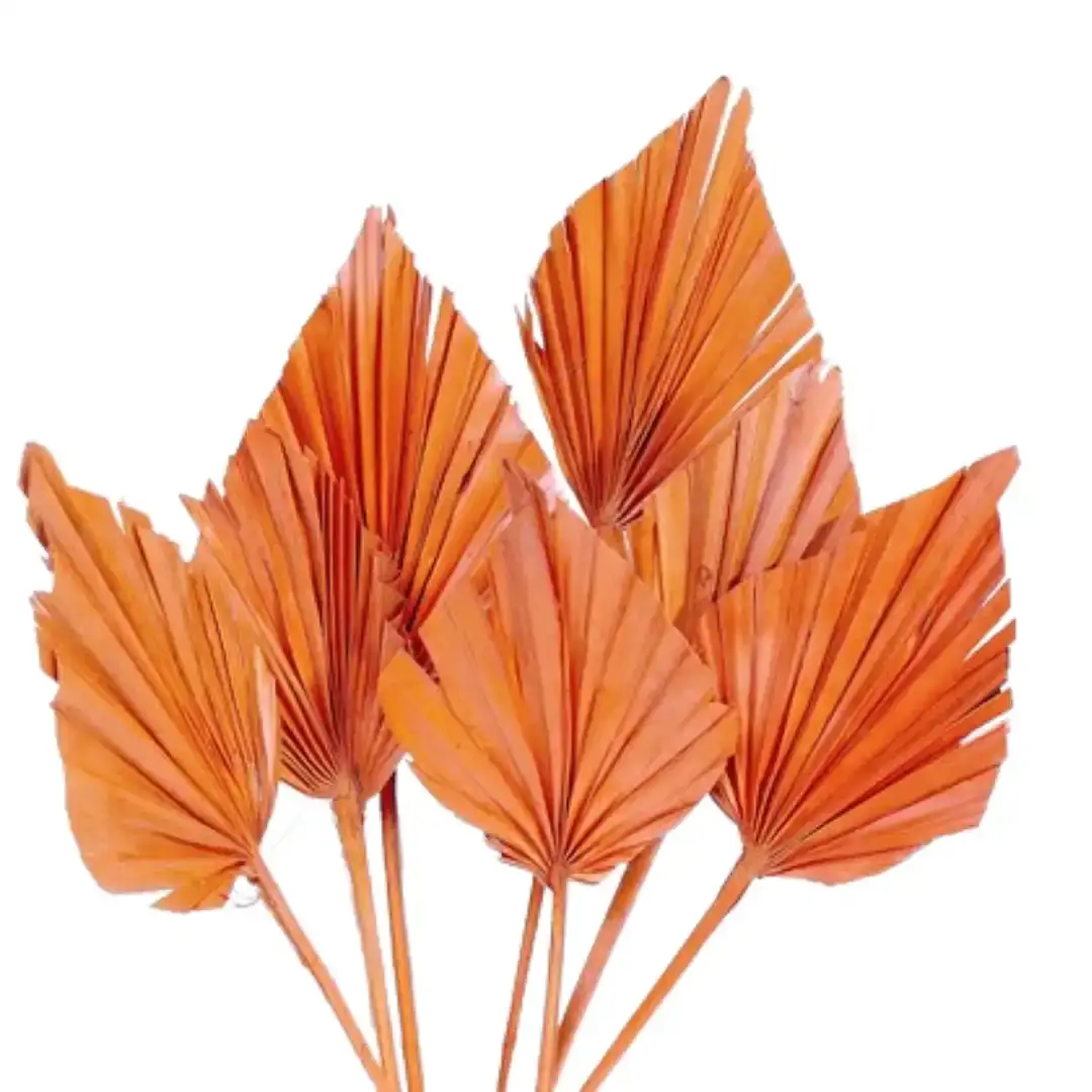 Botanico Ltd. – wholesale Dried/pressed flowers – Palm Spear6
