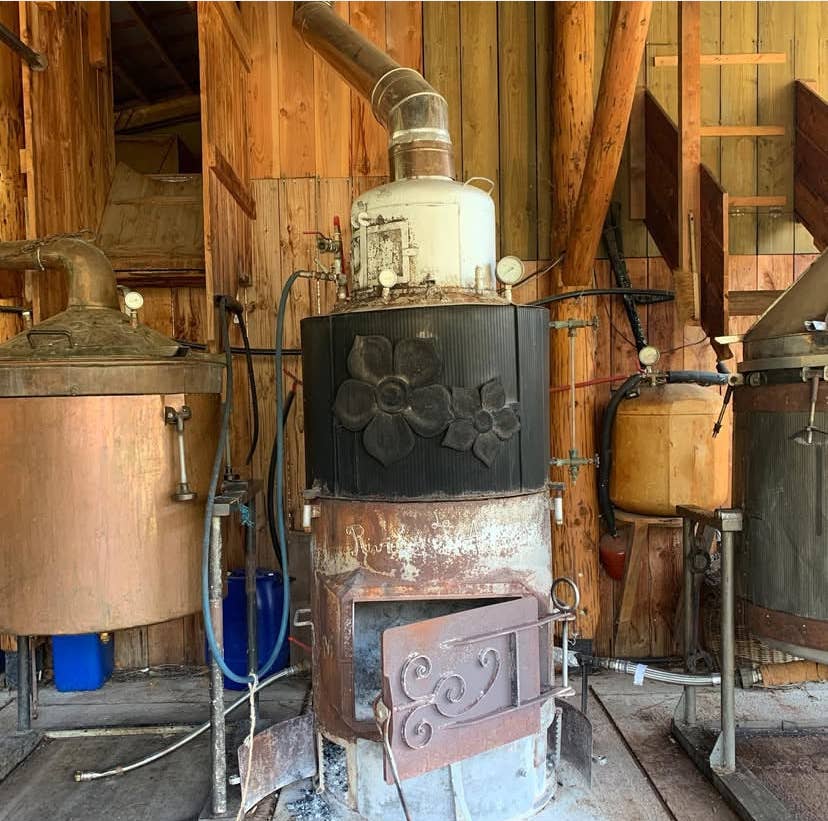 Black Creek Botanicals – Engroshandel Ansigts- og kropsspray – Lokale hydrosoler fra De franske Alper & Provence – Vildt + Økologisk2