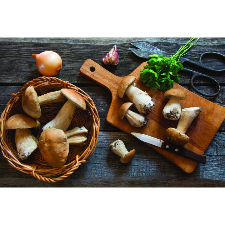 REMOVED BRAND - Vente Légumes secs/déshydratés - Cèpes Séchés "Extra" 30G - Bocal en Verre4