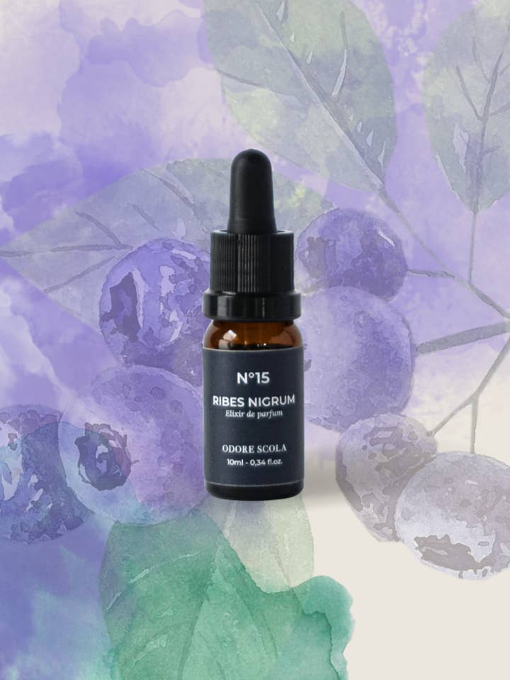 ELISIR DI PROFUMO - Ribes Nigrum per la vendita all'ingrosso da parte di Odore Scola