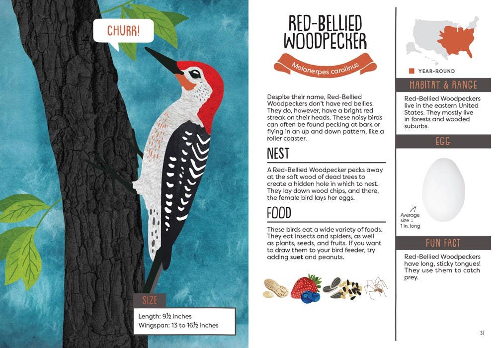 Gibbs Smith - Wholesale Nature & Outdoors Book - Kid’s Guide to Backyard Birds1