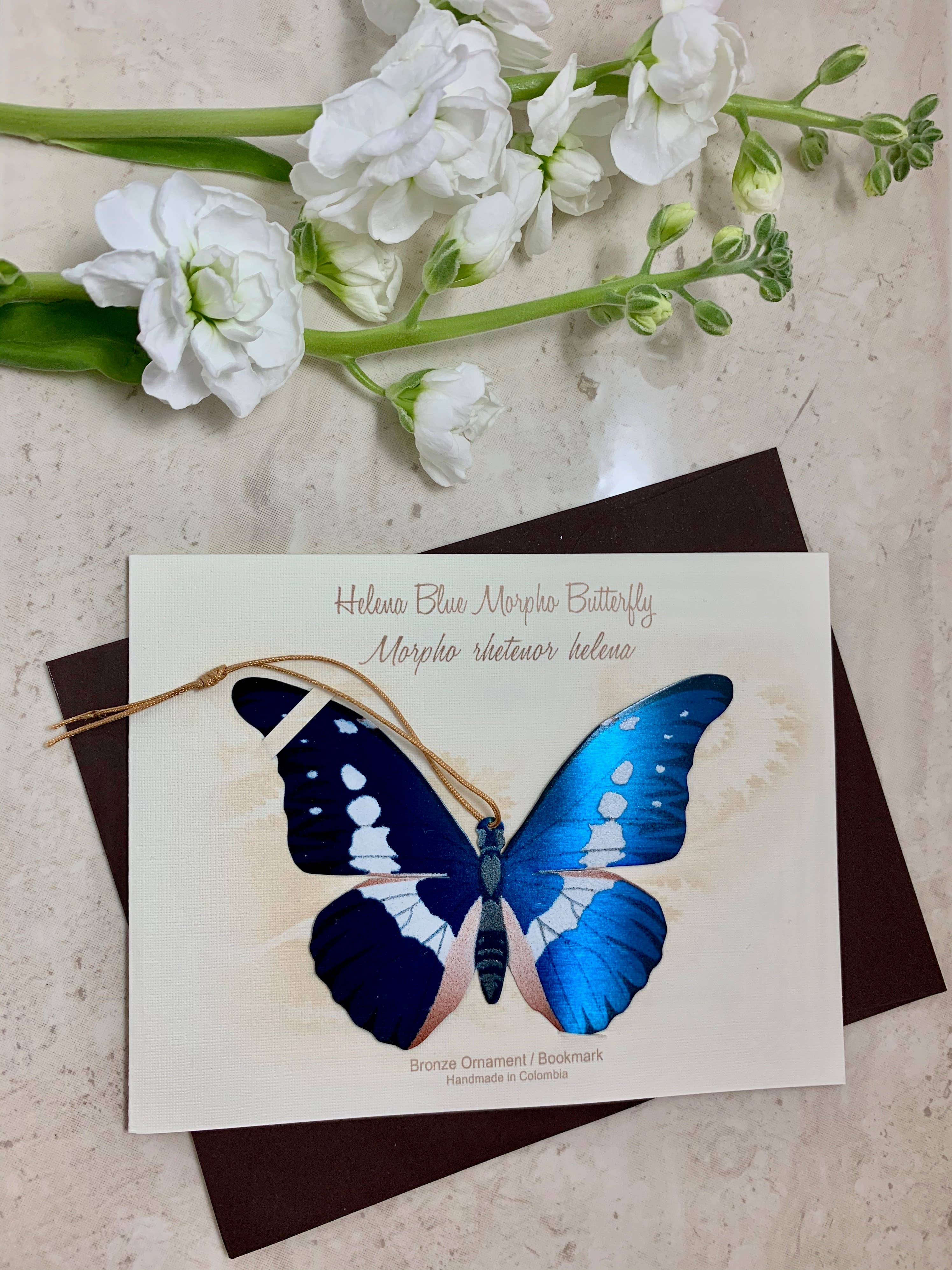 Tulia's Artisan Gallery - Wholesale Bookmark - Blue Morpho Butterfly Ornament + Notecard2