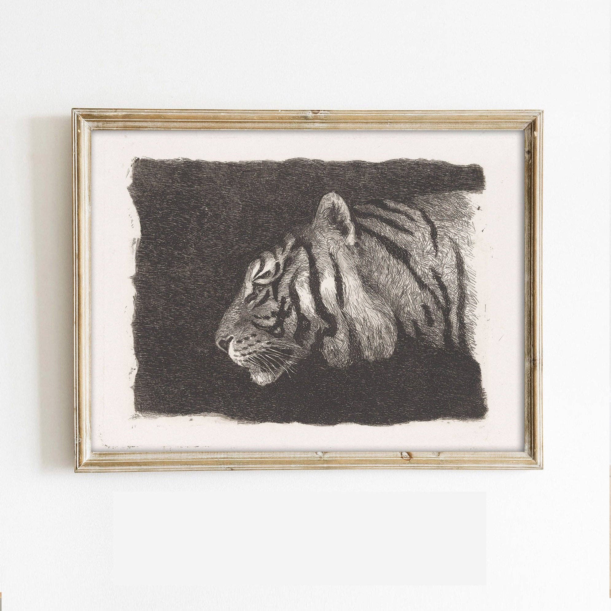 Paper House Print Shop - Vendita all'ingrosso Stampa artistica - Schizzo vintage di tigre0