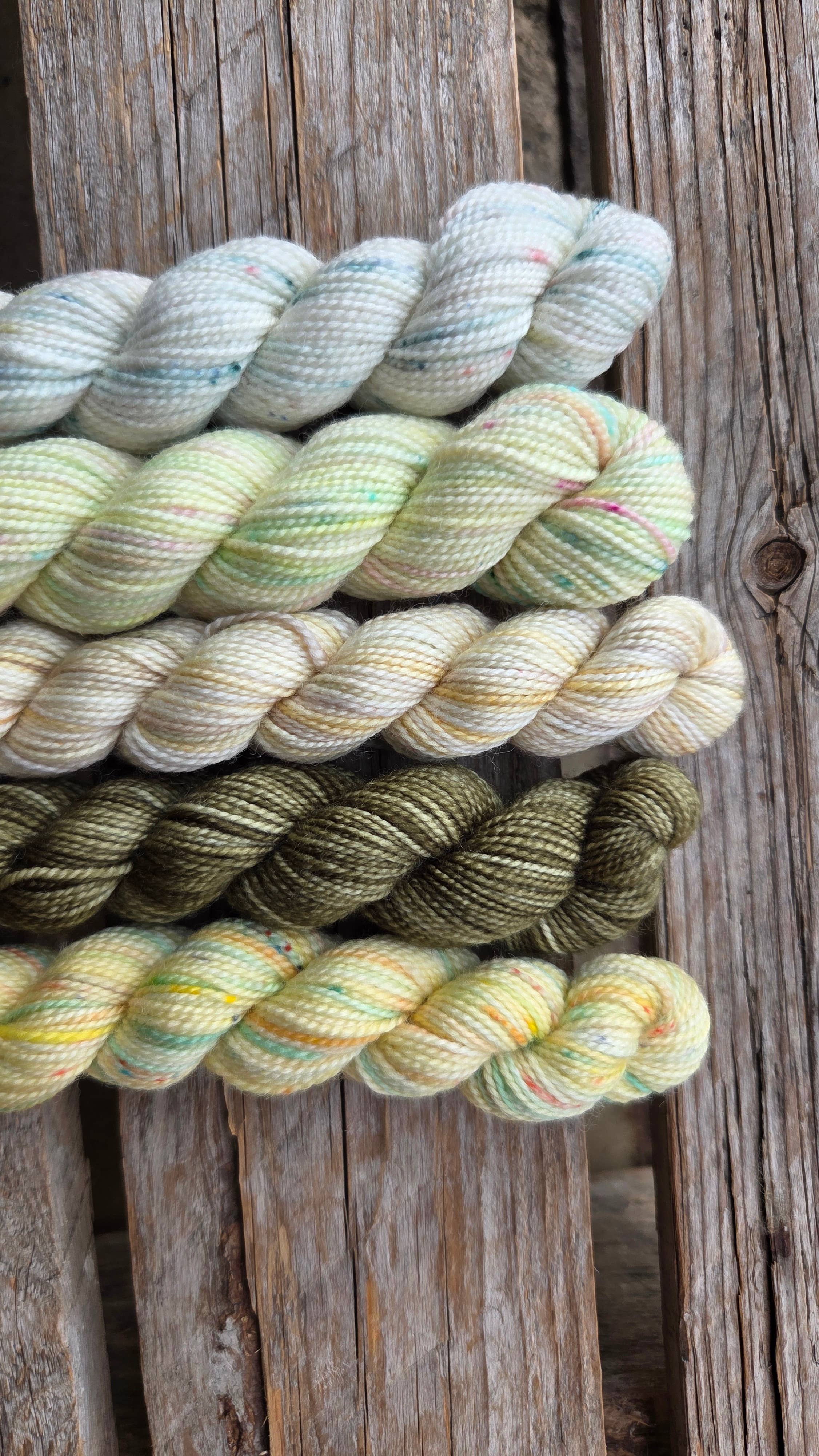 Koigu Wool Designs - Vente Fils à tricoter - Boîtes de Peinture de Fleurs Provinciales (ensembles de mini-écheveaux)11