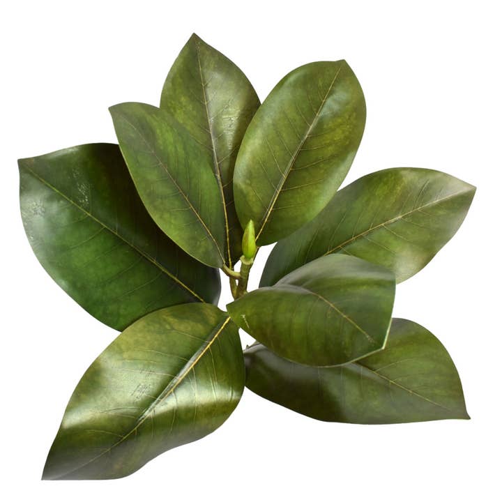 David Christopher's Collection - Wholesale Artificial Plant - 16" Fresh Cut Magnolia Leaf Stem - Green