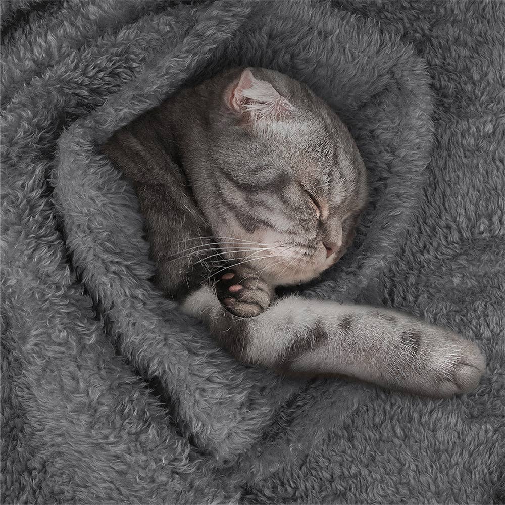 PetAmi - Wholesale Pet Blanket - Cat/Dog - Fluffy Pet Blanket52