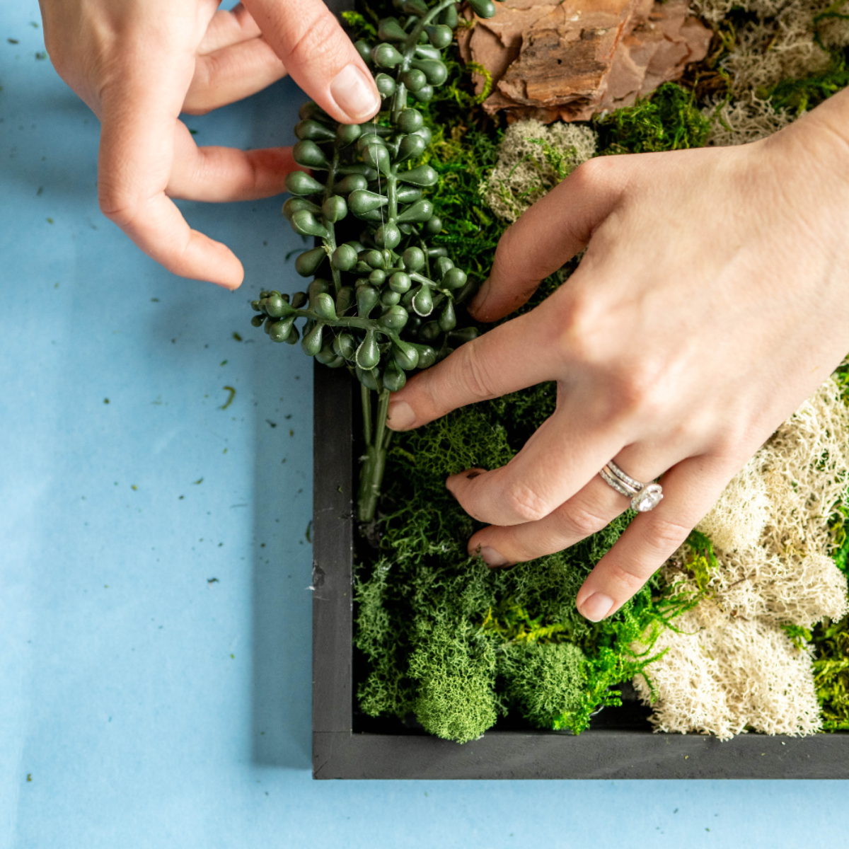 Adults & Crafts - Wholesale Doe-het-zelf-knutselset - Mosswand Doe-Het-Zelf Knutselpakket7