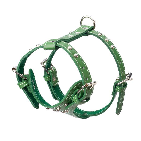 Imbracatura Borchiata Taglia Piccola per la vendita all'ingrosso da parte di TOP DOG BRAND INC