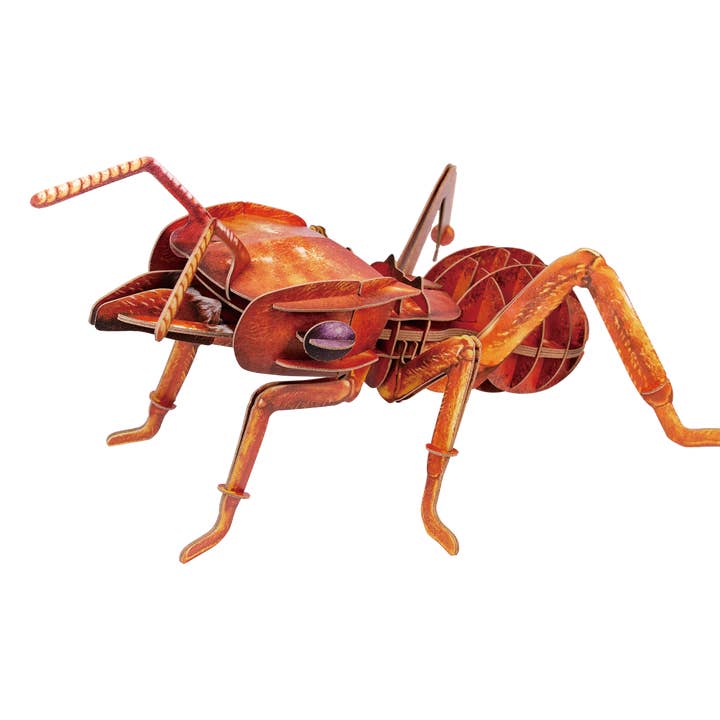 Leafcutting Ant 3D Puzzle - Bring Nature Home for wholesale by Makebug