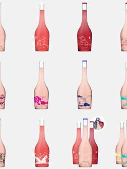 Blandning av flera screentryckta flaskor för wholesale av Le Vin En Rose