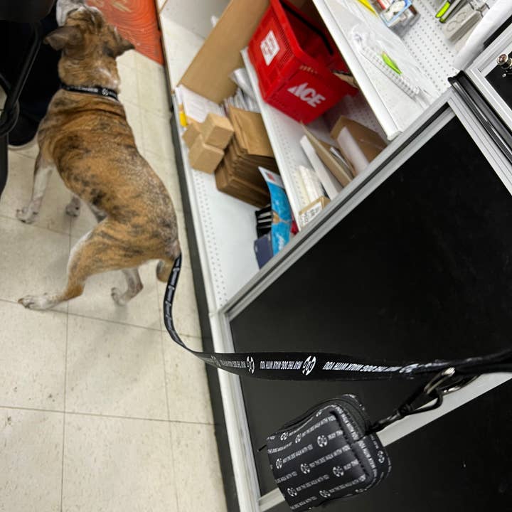 RACKETPACK - Vendita all'ingrosso Guinzaglio - Cani - Guinzaglio per cani "DOG"1