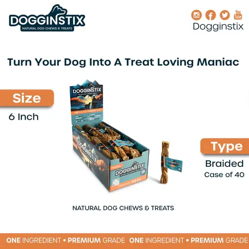 Dogginstix - Wholesale Pet Treats - Dog - 6" Braided Beef Tripe Sticks2