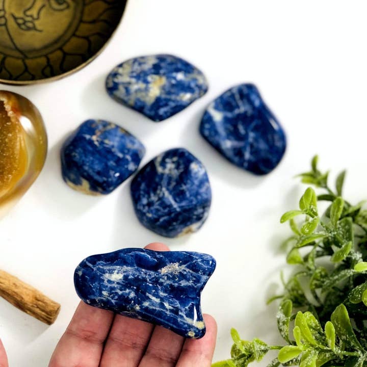 Pierres précieuses en sodalite bleue cristalline roulée, 5 pièces pour la vente par Rock Paradise