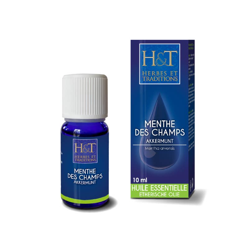 Ecohesens - Venta al por mayor Aceite esencial - Aceite esencial de menta (Mentha arvensis) - 10 ml - Herbes & traditions