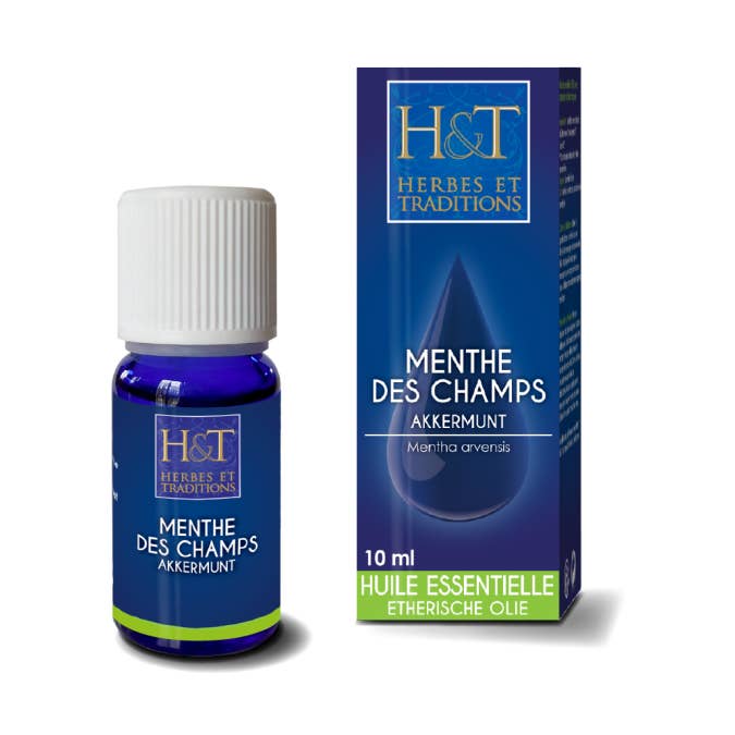 Ecohesens - Wholesale Essential Oil - Field mint essential oil (Mentha arvensis) - 10 ml - Herbes & traditions0