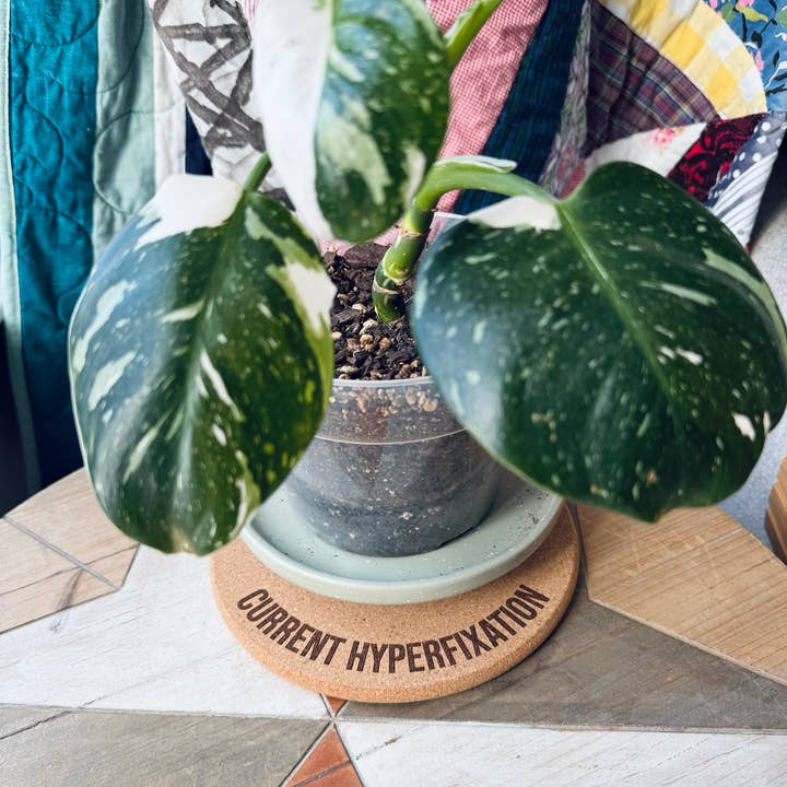 Current Hyperfixation • Plant Mat • 3 Size Options for wholesale by The Lemon Lemon