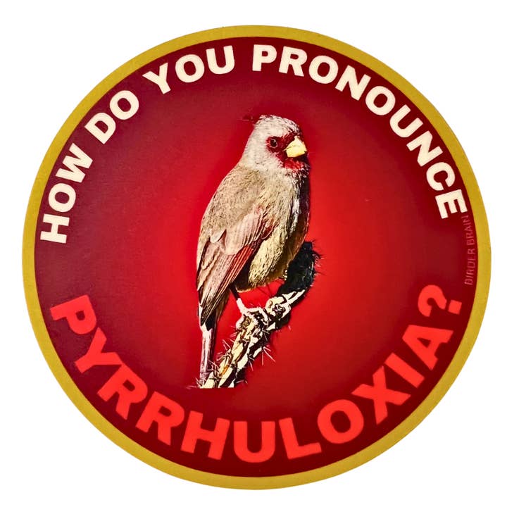 Hur uttalar du Pyrrhuloxia-klistermärke? för wholesale av Birder Brain