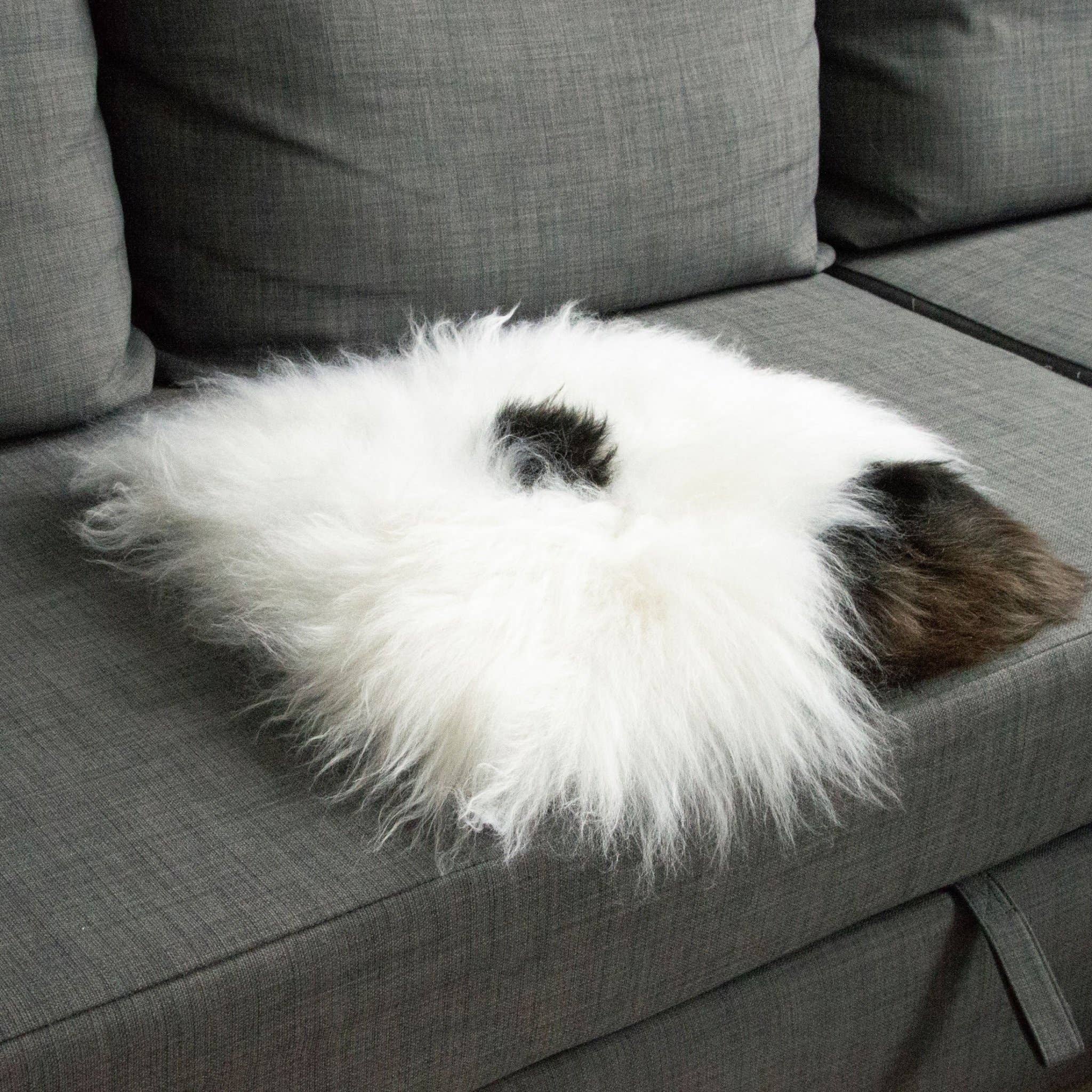 Wildash London – Großhandel Stuhlkissen – 100 % echtes Schaffell Sitzkissen, cremefarben mit dunkelbraunem Akzent1