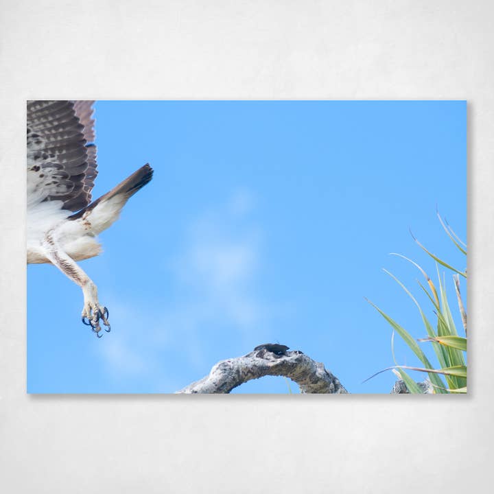 À plus tard pour la vente par Ocean's Echo