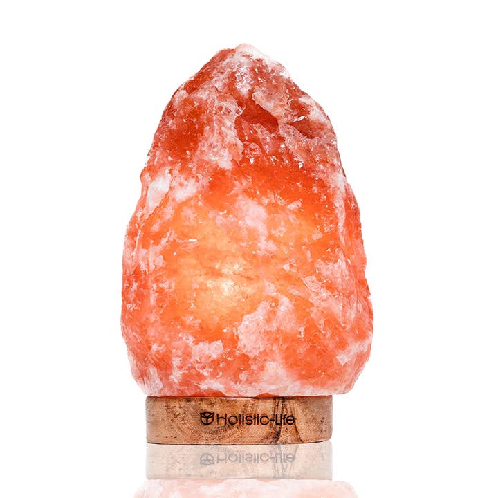 Dimmable Himalayan salt lamp 2-3kg for wholesale by holistic-life