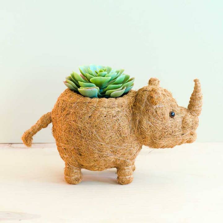 LIKHÂ - Vente Pot - Jardinière Rhino - Pot en fibre de coco | LIKHA | cadeau de vacances6