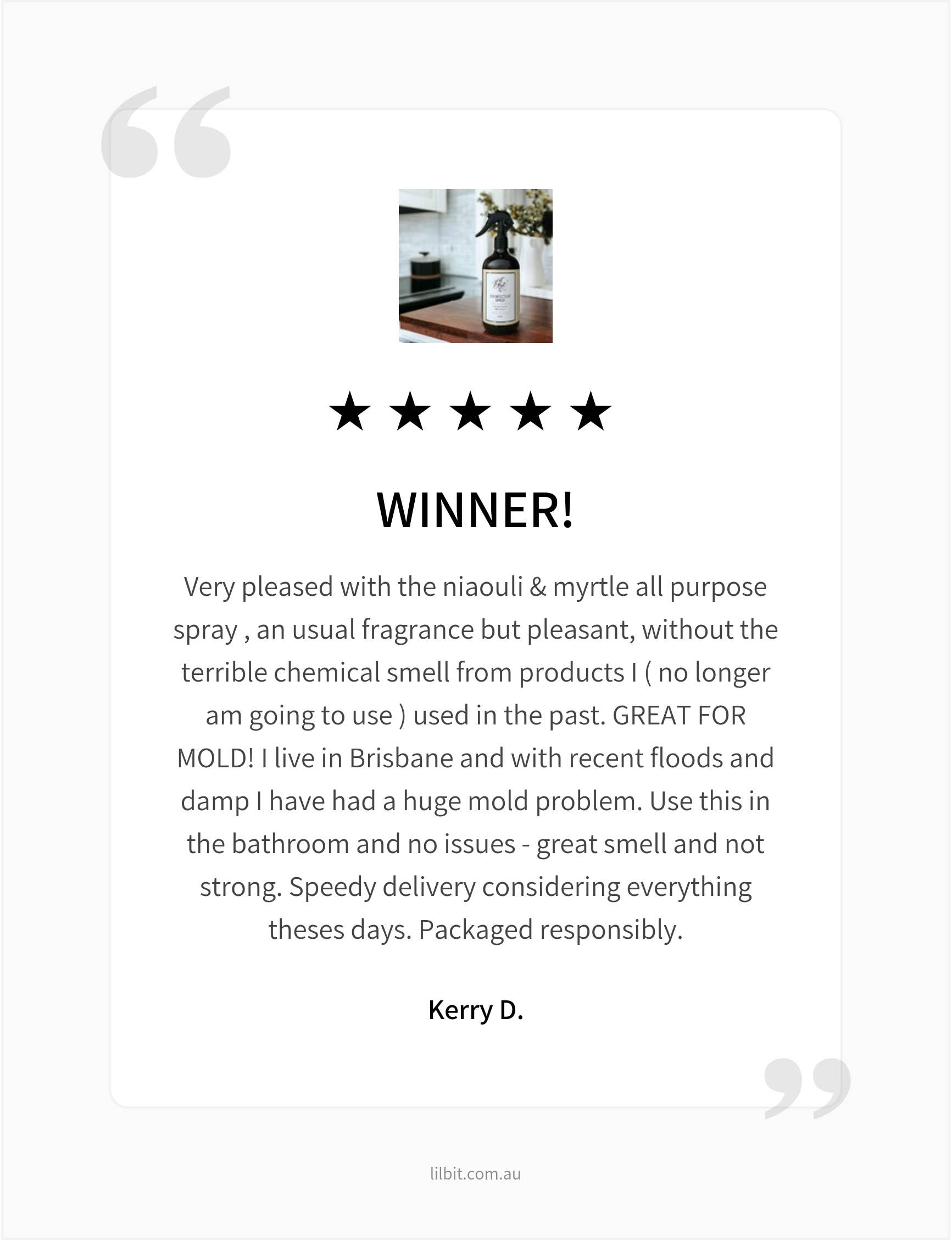 Lil'Bit Better - Wholesale All-Purpose Cleaning Spray - Niaouli & Myrtle Disinfectant Spray 500ml - Organic 3