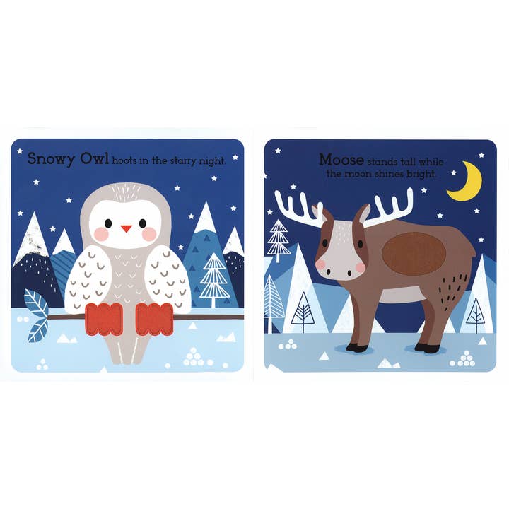 EDC Publishing - Wholesale Preschool Book (3-5) - Read, Touch, Discover: Arctic Animals1