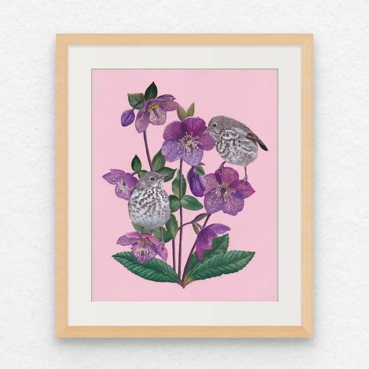 Impression « Grives ermites sur Hellébore » pour la vente par Bekah Zeimetz Art