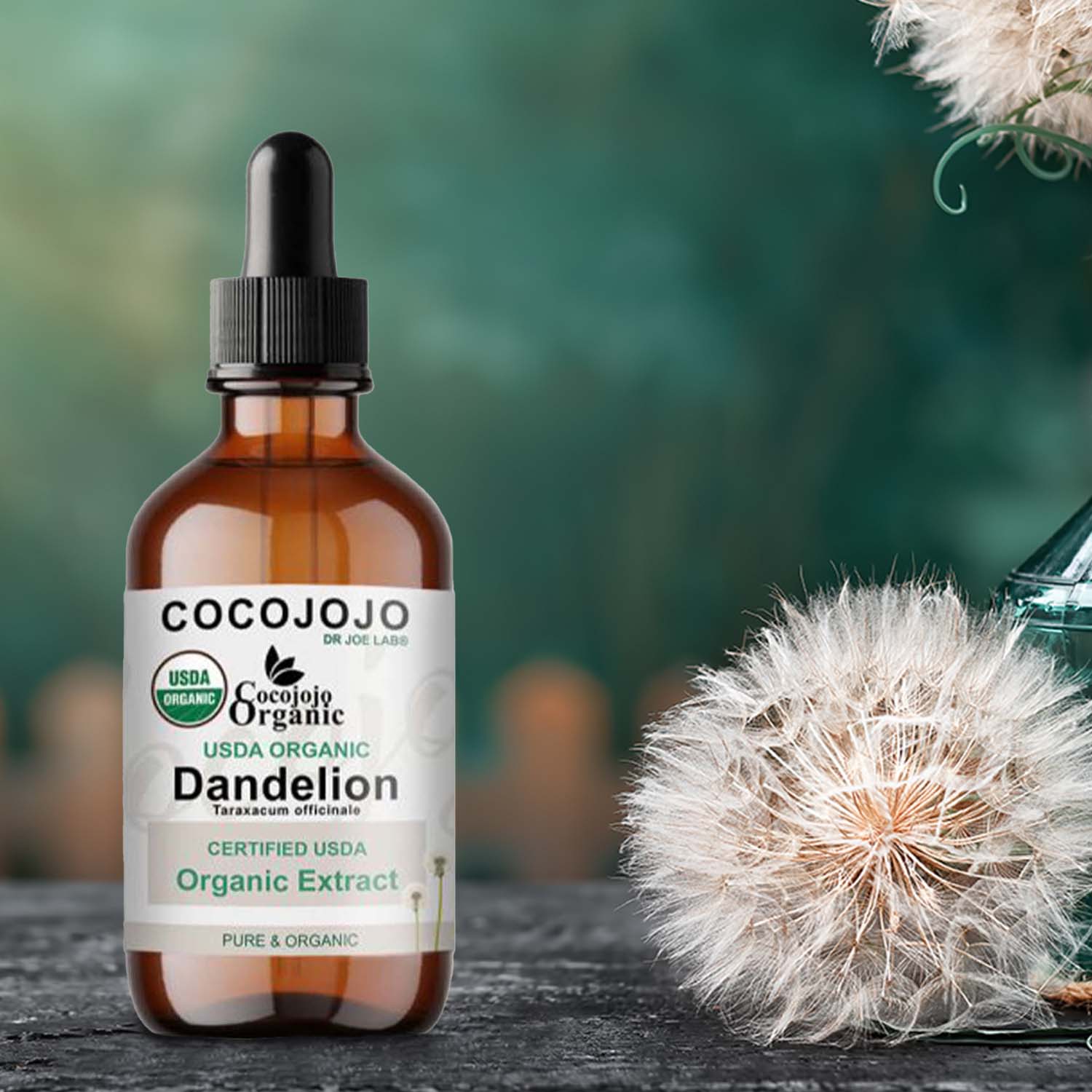Coco jojo - Wholesale Oral Supplement/Vitamin - Dandelion Extract – USDA Organic5