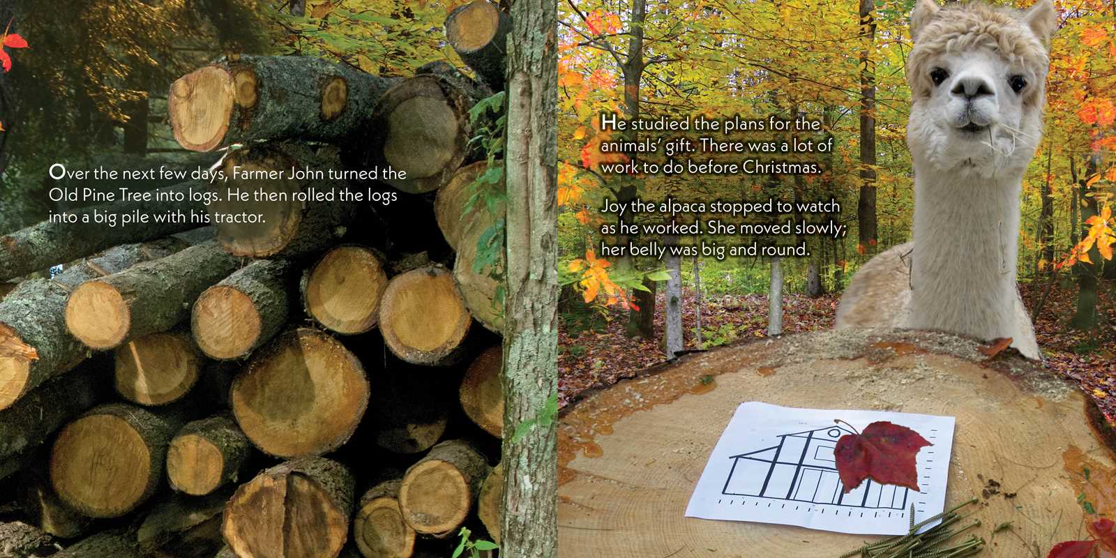 Simon & Schuster - Wholesale Preschool Book (3-5) - Christmas Barn by John Churchman3