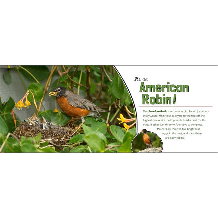 AdventureKEEN - Wholesale Nature & Outdoors Book - Whose House Is That?4