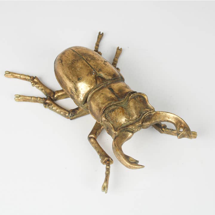 Originals International Ltd – wholesale Wall Accent – Stag Beetle Wall Art