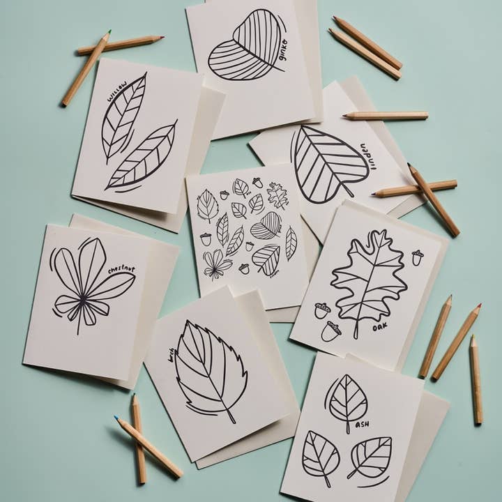 Blattfärbungskarten - Box-Set mit 8 Stück für den Großhandel von Beau Paper Co.