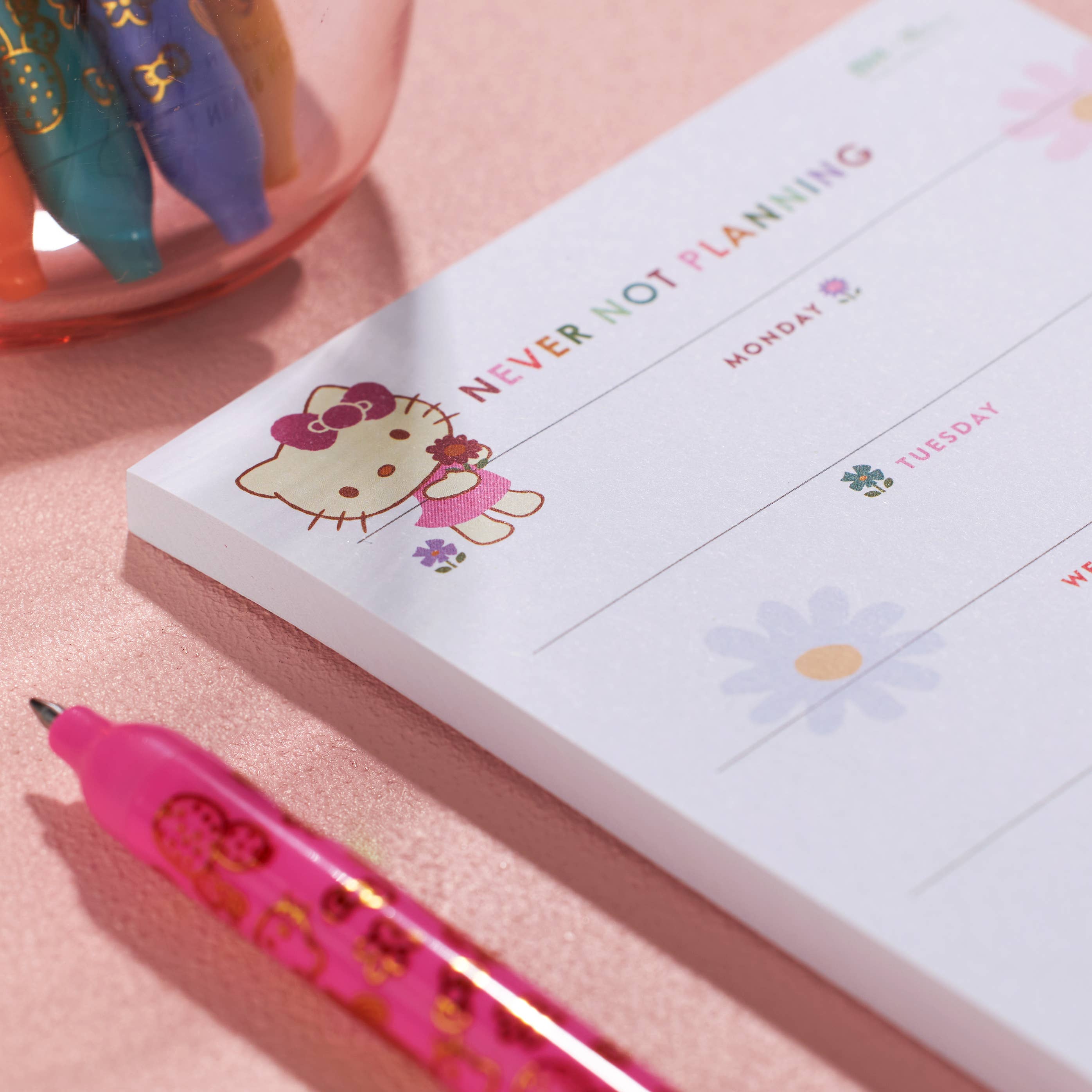 Erin Condren Design - Vente Notes autocollantes/post-it - Notes autocollantes hebdomadaires Hello Kitty, 4 x 62