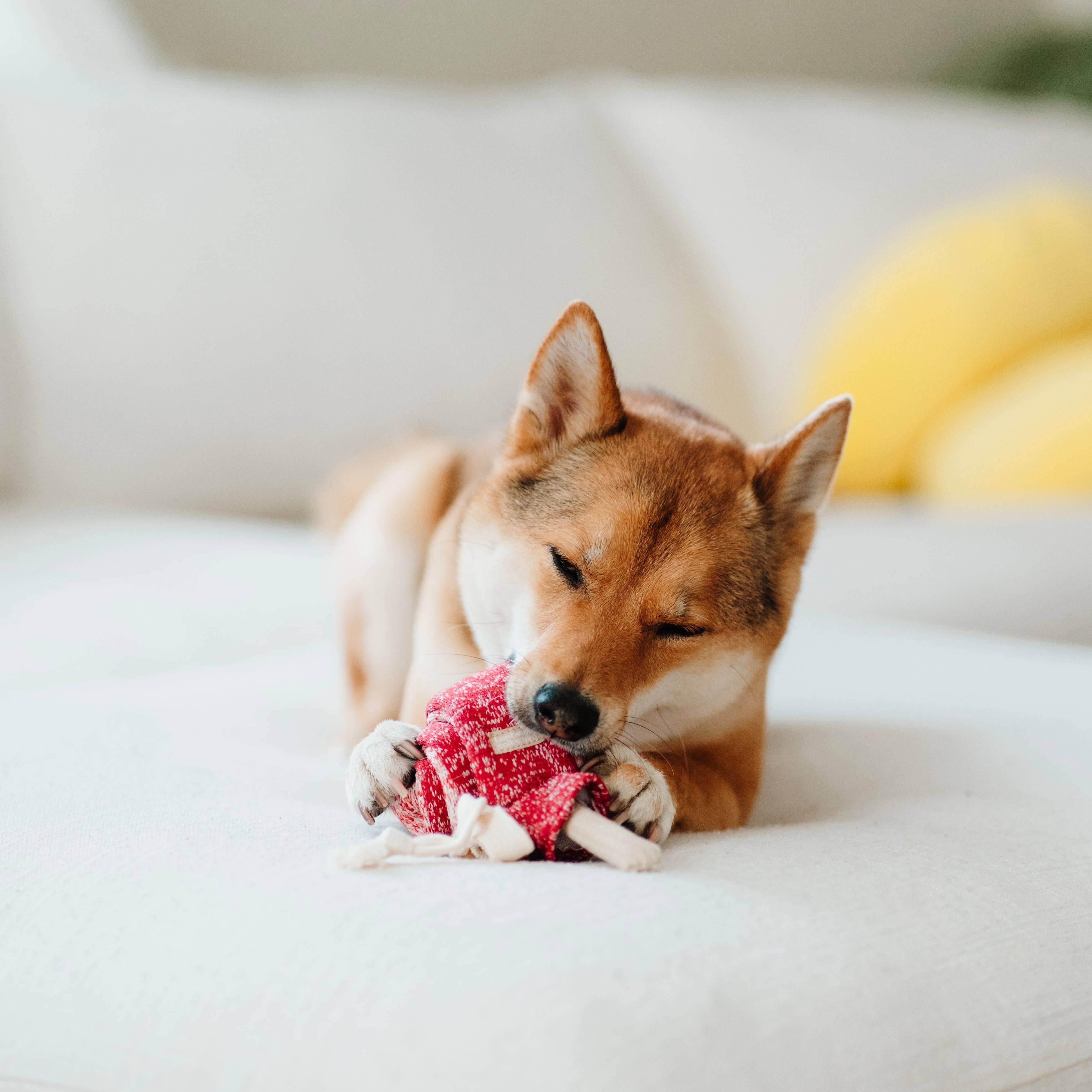 Lambwolf Collective - Wholesale Pet Toy - Dog - LOLLIPOP//ENRICHMENT DOG TOY2