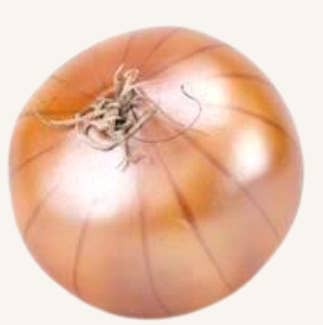 Flora Bunda Inc - Wholesale Decorative Tabletop Object - Faux Onion2