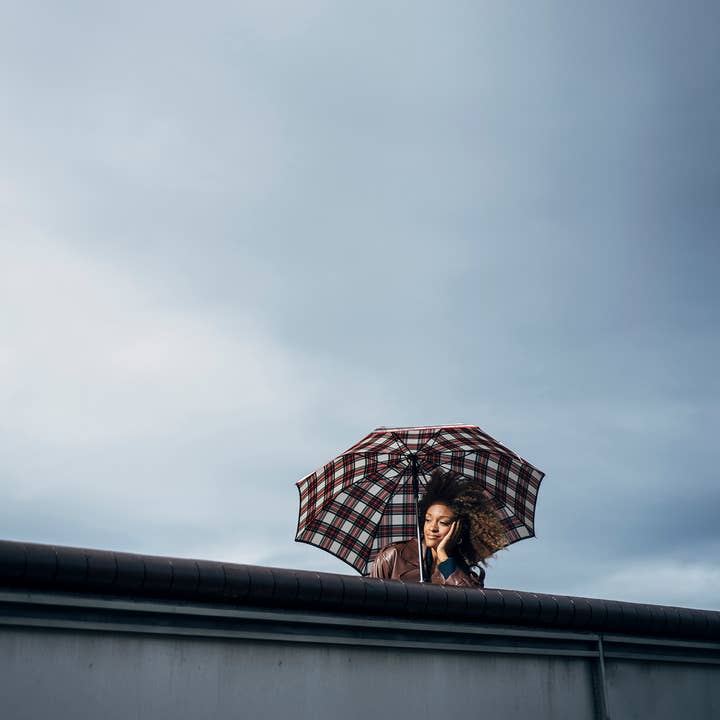 Ezpeleta - Wholesale Umbrella - Unisex - EZPELETA Scottish plaid PYD Classical Regular Umbrella6