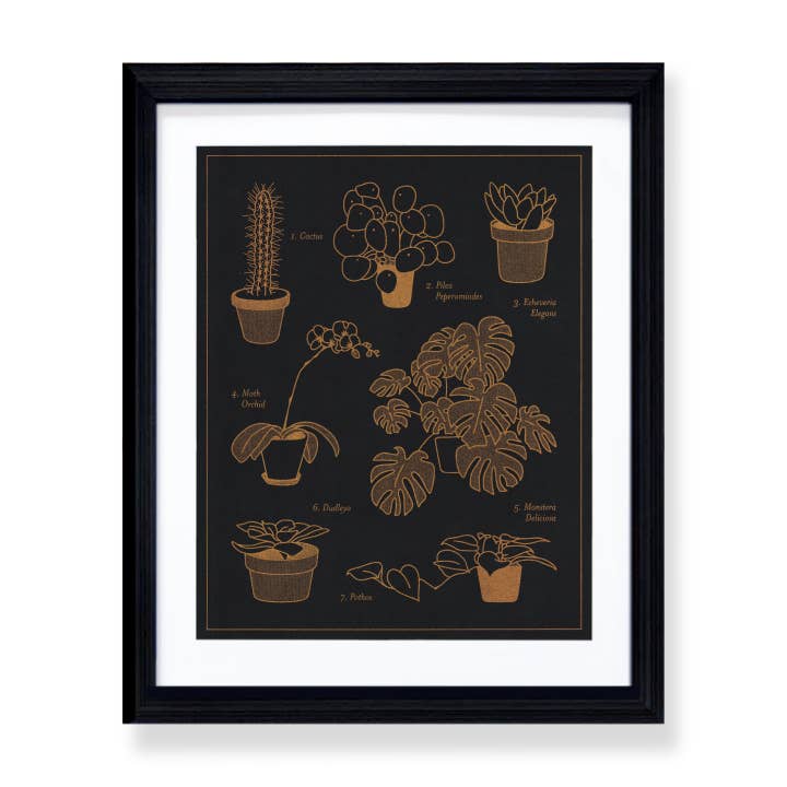 Plant Identification | Risograph Print 8x10 for wholesale by And Studio
