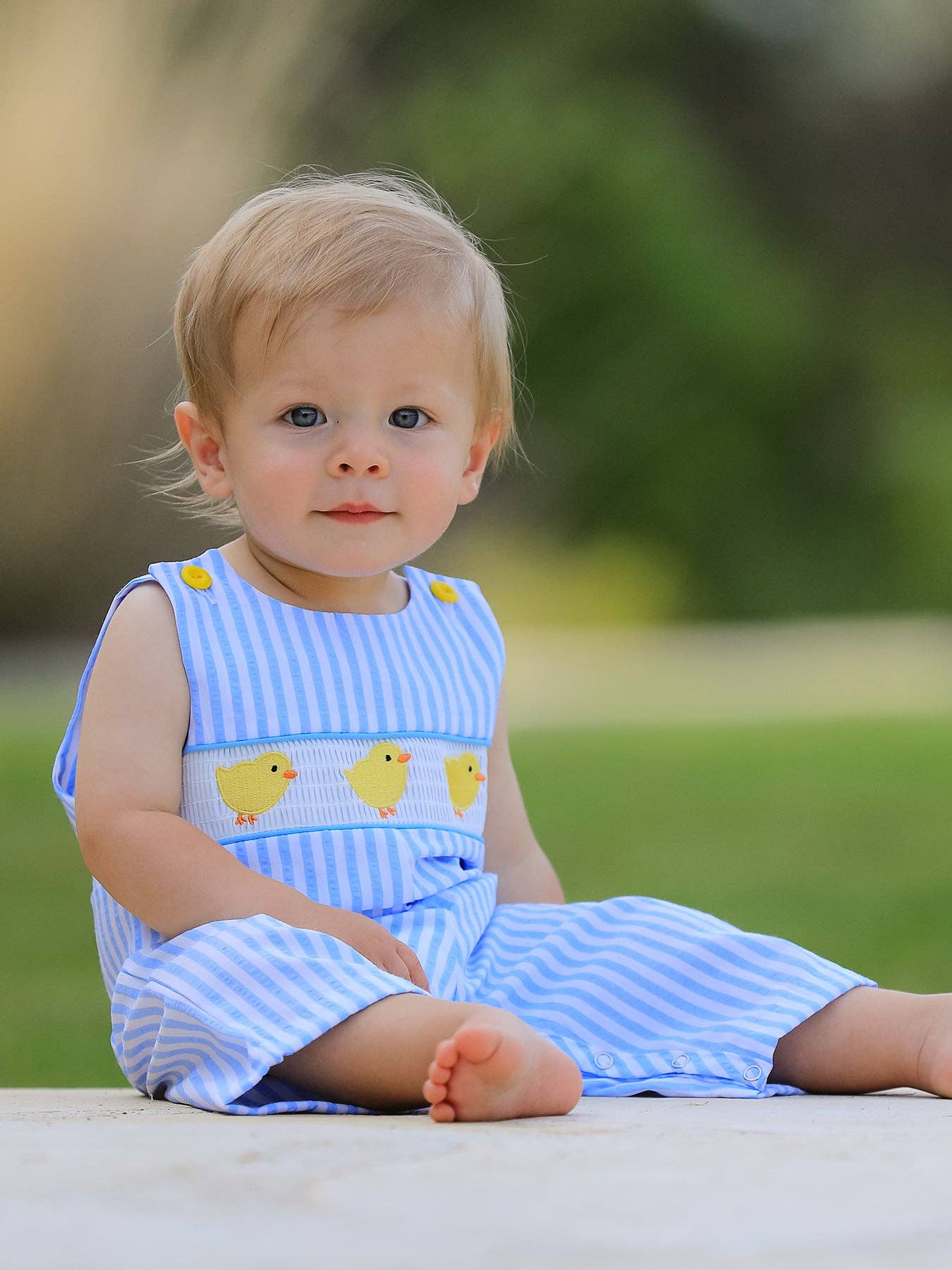 Rylee Faith Designs - Wholesale Jumpsuit - Baby - Spring and Summer Chicken Embroidery Blue Boy Romper3