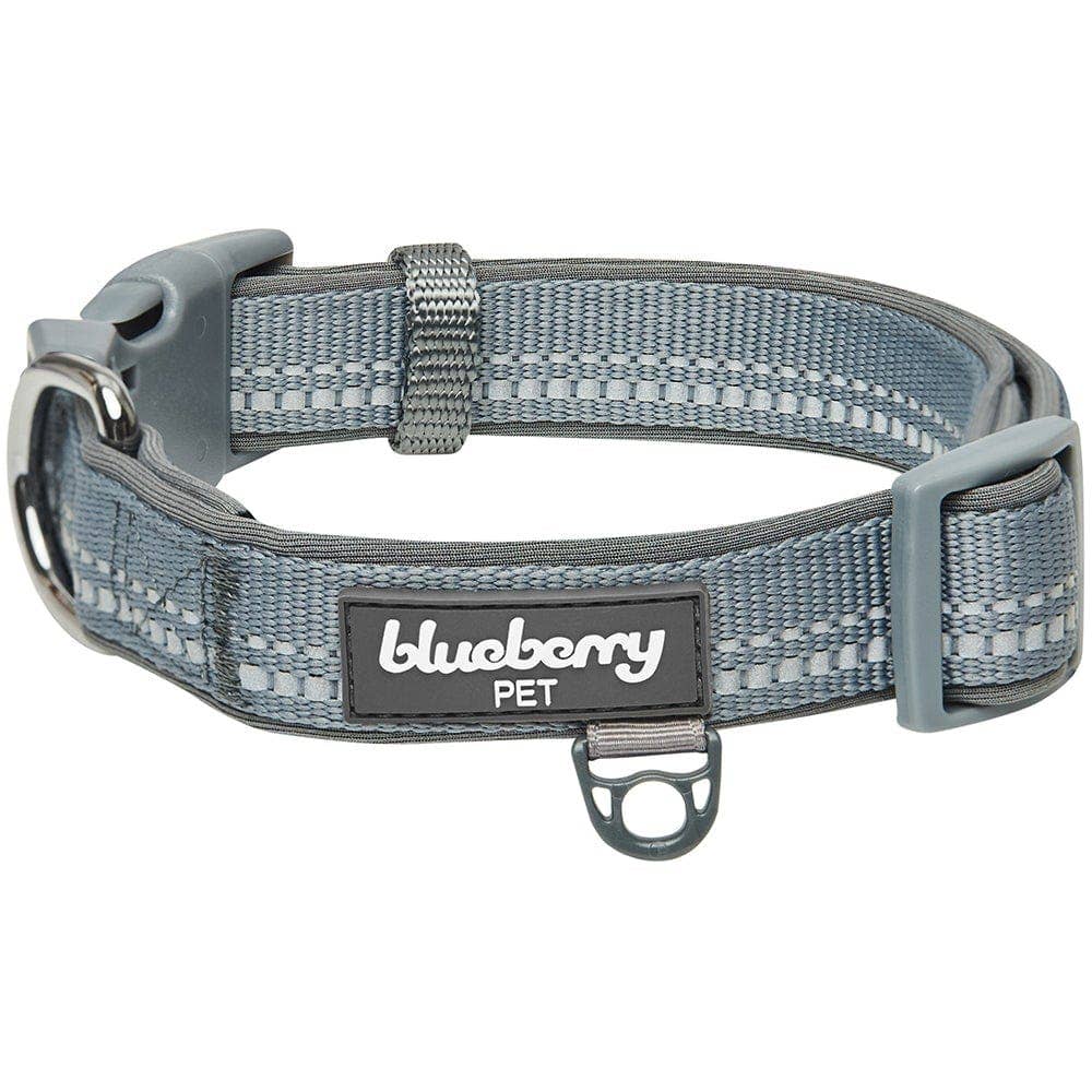 Blueberry Pet - Vente Collier – chien - Collier de sécurité rembourré en néoprène souple réfléchissant 3M27