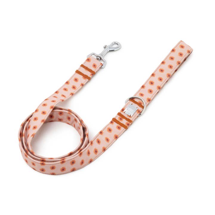 Correia Flores por atacado de B de Bruno ES