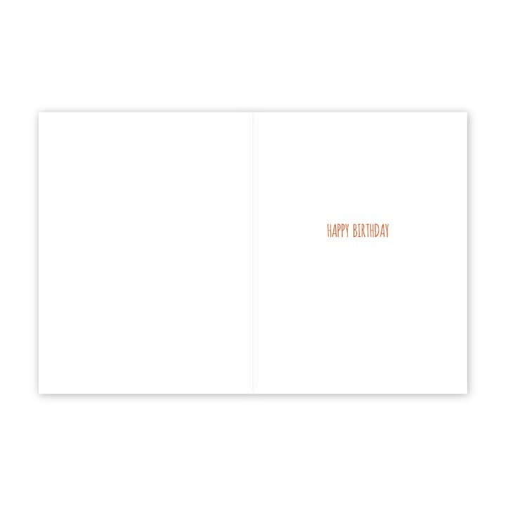 Modern Printed Matter - Wholesale Birthday Card - Aged Moose Trophy Funny Birthday Card