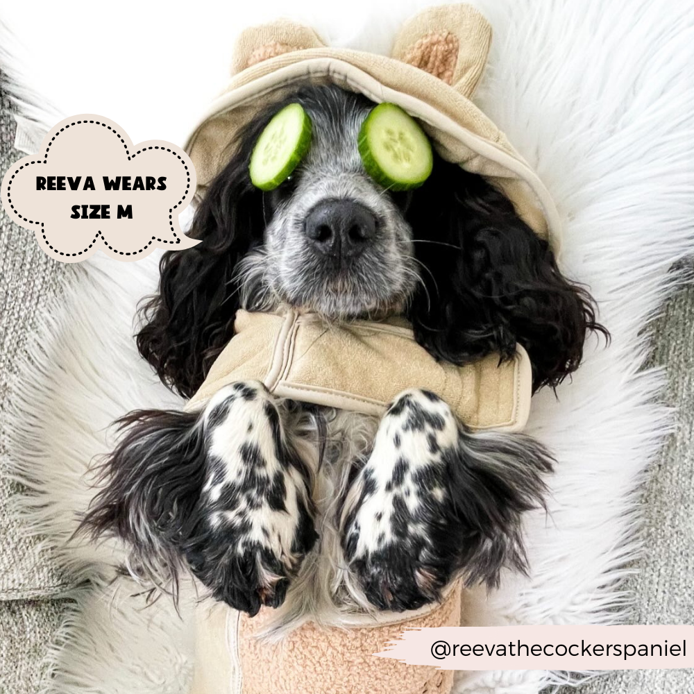 Cocopup London - Wholesale Pet Towel - Dog - Teddy Drying Robe6