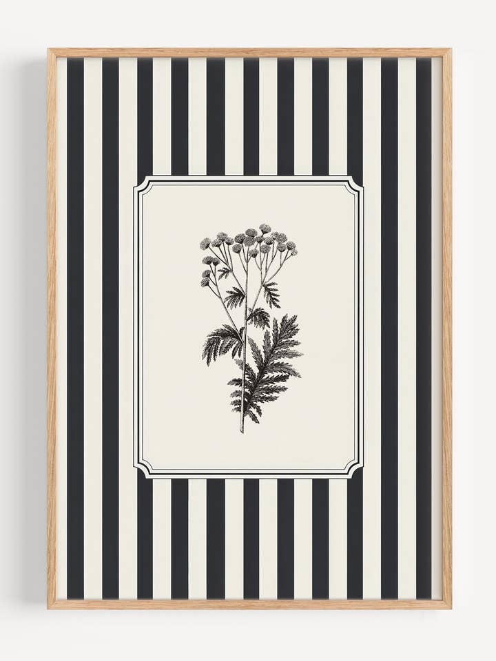 Black & White Stripe Botanical Wall Art Print | Vintage Flower Illustration I183-1 for wholesale by Peardrop Prints