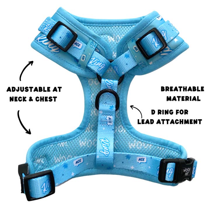 WOOF INC - Wholesale Pet Harness - Dog - King Blue Adjustable Dog Harness10