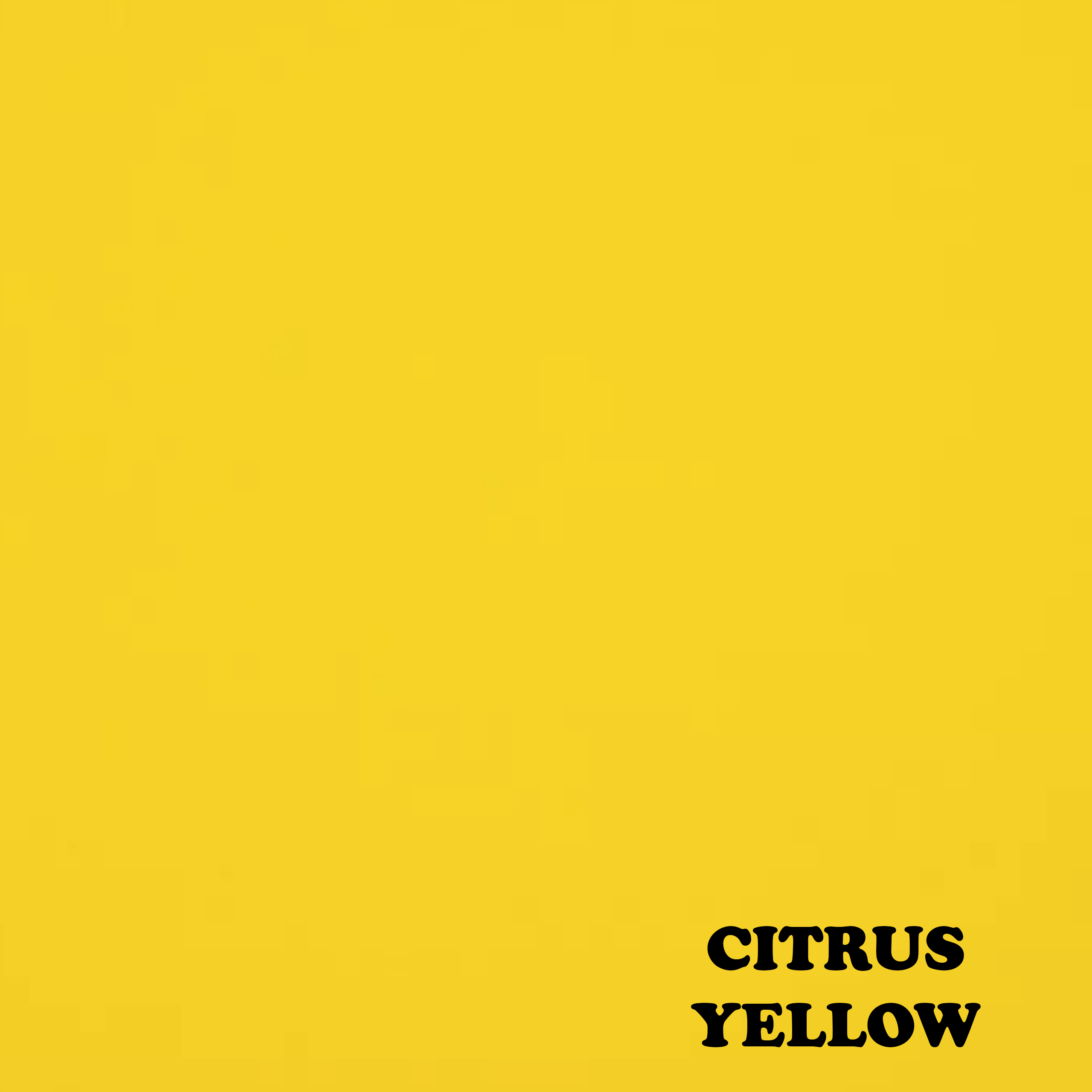 Spoiled Pet Accessories - Wholesale Pet Bandana - Dog - Treat Junkie3