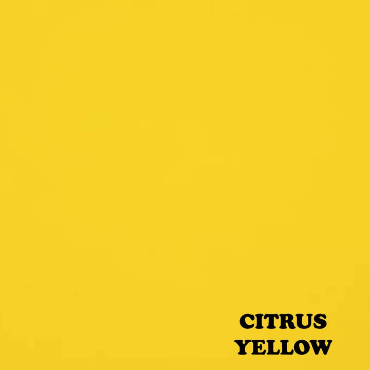 Spoiled Pet Accessories - Wholesale Pet Bandana - Dog - Treat Junkie3