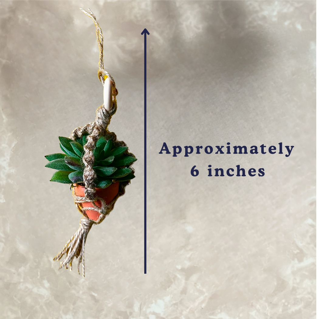 The PlantOutfitter - Wholesale Car Decorative Charm - Unisex - Car Macrame Plant Hanger with Artificial Plant2